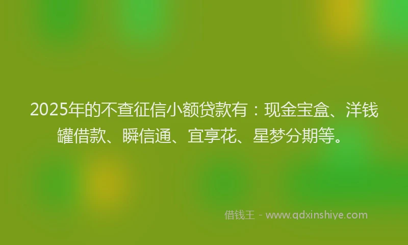 2025年的不查征信小额贷款有：现金宝盒、洋钱罐借款、瞬信通、宜享花、星梦分期等。