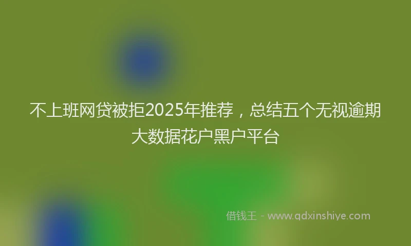 不上班网贷被拒2025年推荐，总结五个无视逾期大数据花户黑户平台