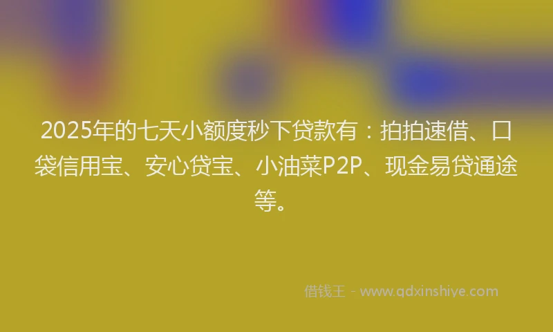 2025年的七天小额度秒下贷款有：拍拍速借、口袋信用宝、安心贷宝、小油菜P2P、现金易贷通途等。