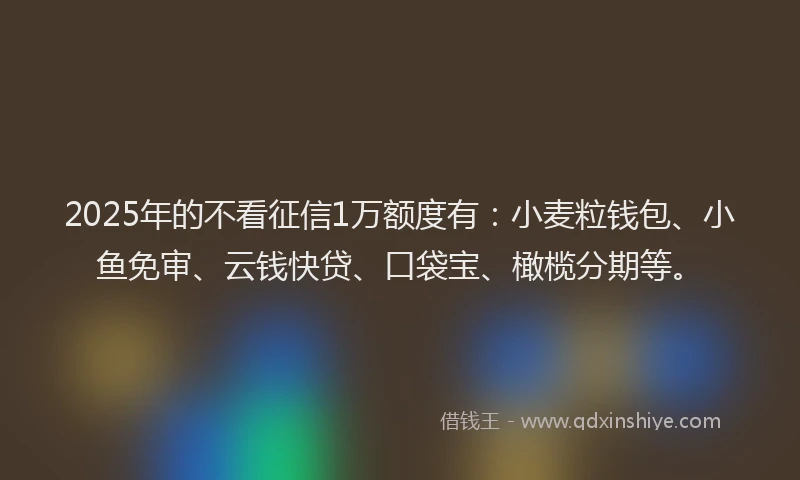 2025年的不看征信1万额度有：小麦粒钱包、小鱼免审、云钱快贷、口袋宝、橄榄分期等。