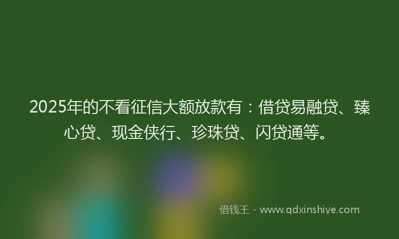 2025年的不看征信大额放款有：借贷易融贷、臻心贷、现金侠行、珍珠贷、闪贷通等。