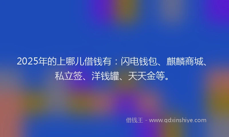 2025年的上哪儿借钱有：闪电钱包、麒麟商城、私立签、洋钱罐、天天金等。
