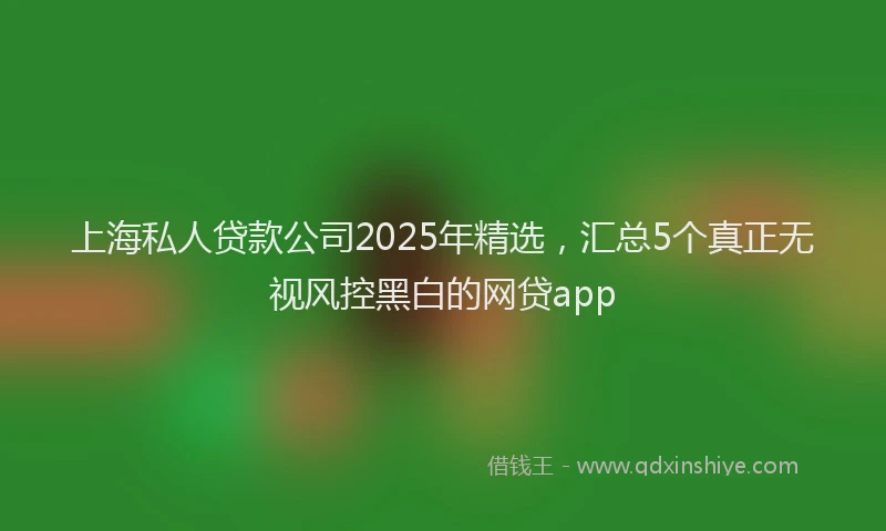 上海私人贷款公司2025年精选，汇总5个真正无视风控黑白的网贷app