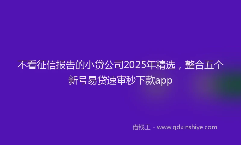 不看征信报告的小贷公司2025年精选，整合五个新号易贷速审秒下款app