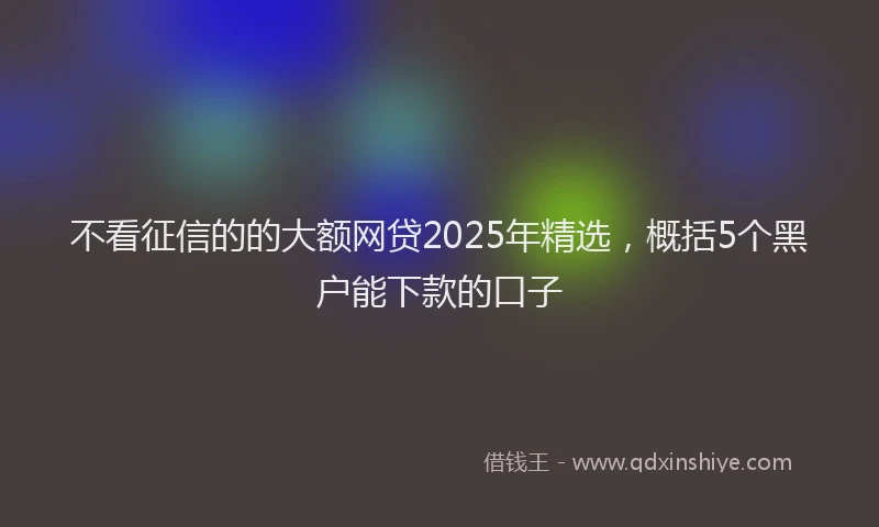 不看征信的的大额网贷2025年精选，概括5个黑户能下款的口子