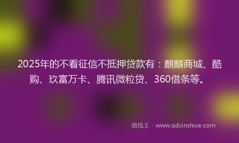 2025年的不看征信不抵押贷款有：麒麟商城、酷购、玖富万卡、腾讯微粒贷、360借条等。