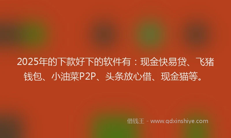2025年的下款好下的软件有：现金快易贷、飞猪钱包、小油菜P2P、头条放心借、现金猫等。
