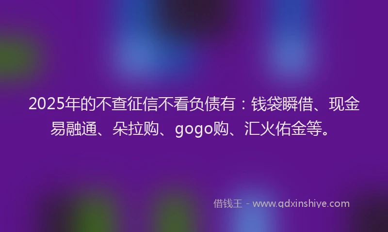 2025年的不查征信不看负债有：钱袋瞬借、现金易融通、朵拉购、gogo购、汇火佑金等。