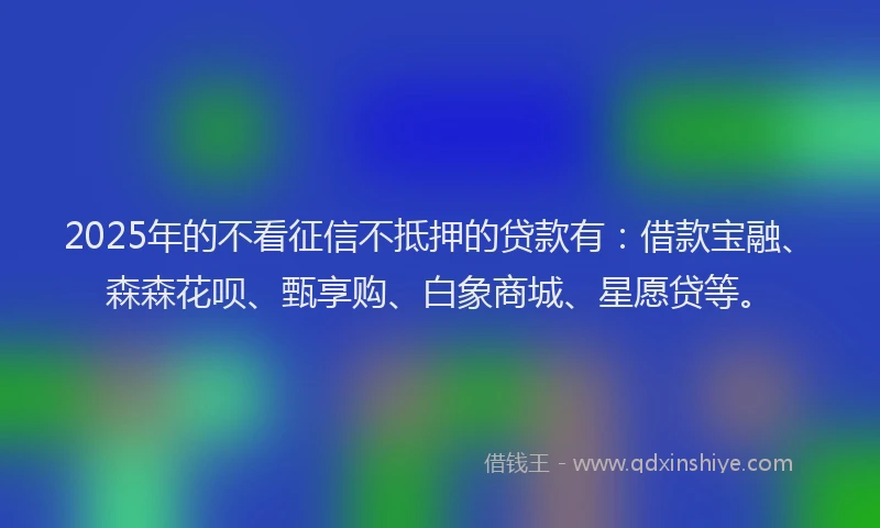 2025年的不看征信不抵押的贷款有：借款宝融、森森花呗、甄享购、白象商城、星愿贷等。