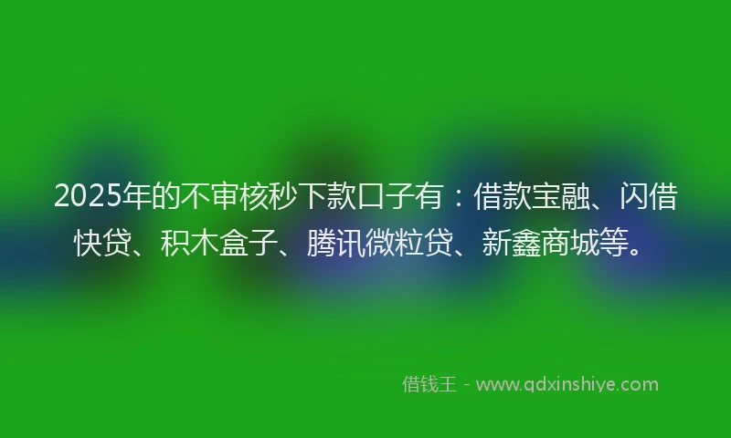2025年的不审核秒下款口子有：借款宝融、闪借快贷、积木盒子、腾讯微粒贷、新鑫商城等。