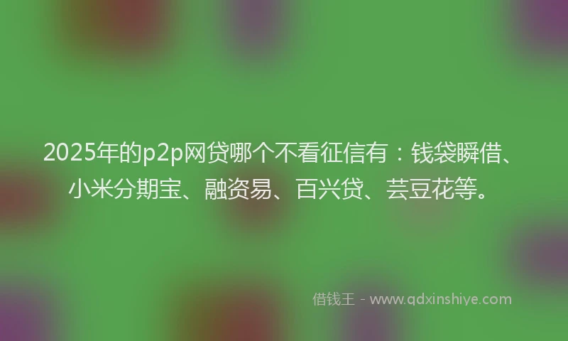2025年的p2p网贷哪个不看征信有：钱袋瞬借、小米分期宝、融资易、百兴贷、芸豆花等。