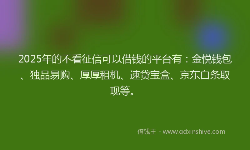 2025年的不看征信可以借钱的平台有：金悦钱包、独品易购、厚厚租机、速贷宝盒、京东白条取现等。