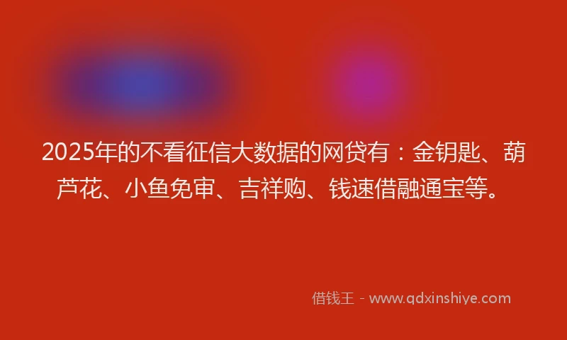 2025年的不看征信大数据的网贷有：金钥匙、葫芦花、小鱼免审、吉祥购、钱速借融通宝等。