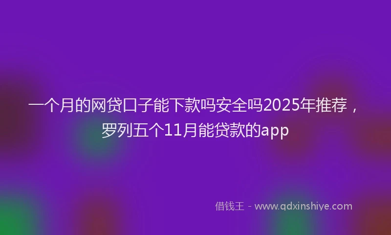 一个月的网贷口子能下款吗安全吗2025年推荐，罗列五个11月能贷款的app