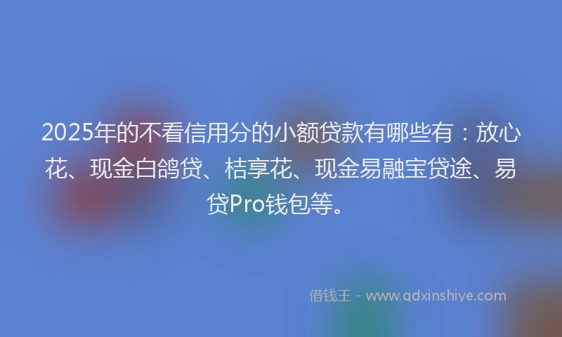 2025年的不看信用分的小额贷款有哪些有：放心花、现金白鸽贷、桔享花、现金易融宝贷途、易贷Pro钱包等。