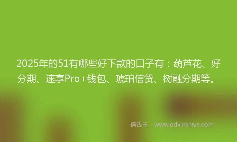 2025年的51有哪些好下款的口子有：葫芦花、好分期、速享Pro+钱包、琥珀信贷、树融分期等。