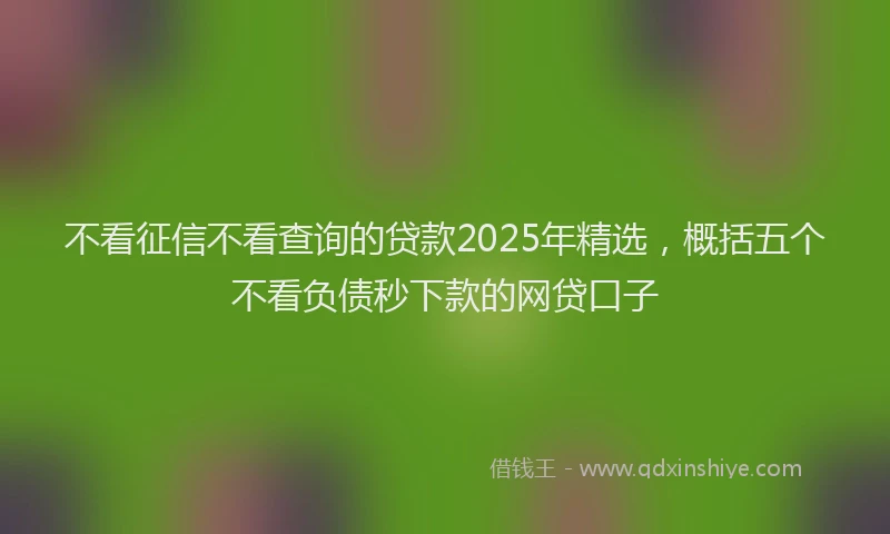 不看征信不看查询的贷款2025年精选，概括五个不看负债秒下款的网贷口子