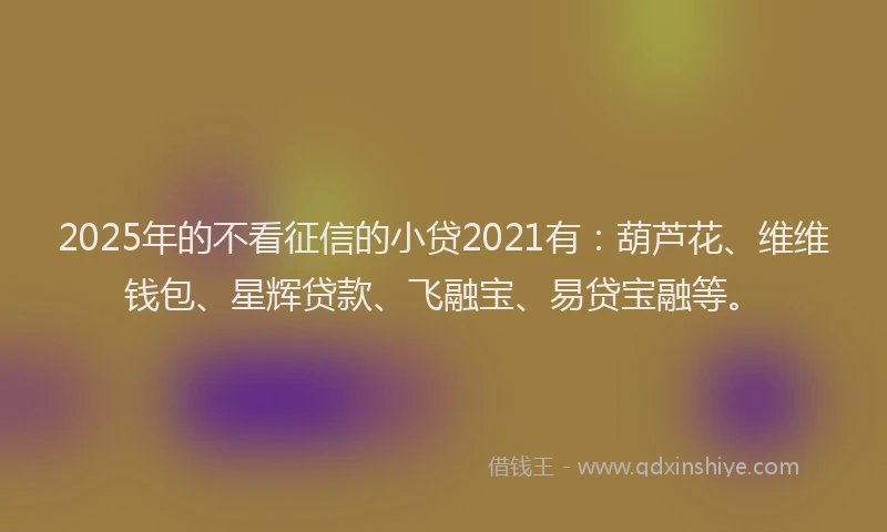 2025年的不看征信的小贷2021有：葫芦花、维维钱包、星辉贷款、飞融宝、易贷宝融等。