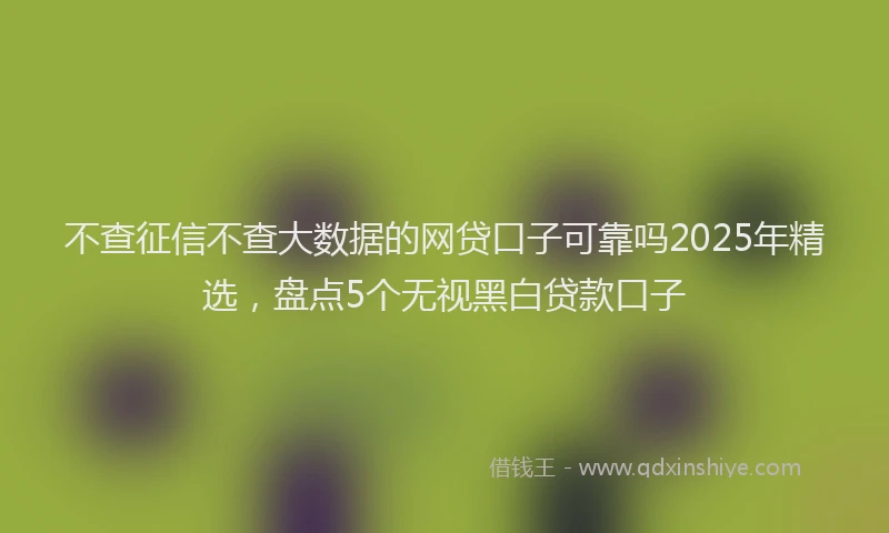 不查征信不查大数据的网贷口子可靠吗2025年精选，盘点5个无视黑白贷款口子