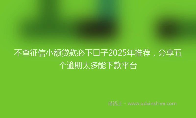 不查征信小额贷款必下口子2025年推荐，分享五个逾期太多能下款平台