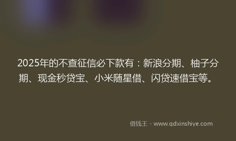 2025年的不查征信必下款有：新浪分期、柚子分期、现金秒贷宝、小米随星借、闪贷速借宝等。