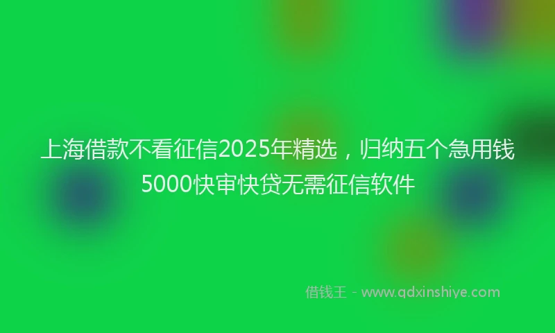 上海借款不看征信2025年精选，归纳五个急用钱5000快审快贷无需征信软件