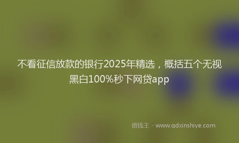 不看征信放款的银行2025年精选，概括五个无视黑白100%秒下网贷app