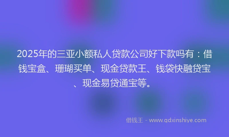 2025年的三亚小额私人贷款公司好下款吗有：借钱宝盒、珊瑚买单、现金贷款王、钱袋快融贷宝、现金易贷通宝等。