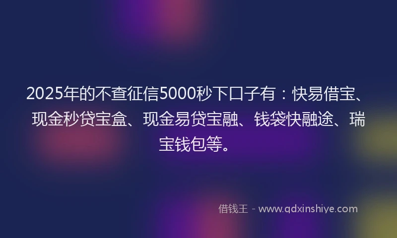 2025年的不查征信5000秒下口子有：快易借宝、现金秒贷宝盒、现金易贷宝融、钱袋快融途、瑞宝钱包等。