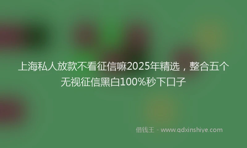 上海私人放款不看征信嘛2025年精选，整合五个无视征信黑白100%秒下口子