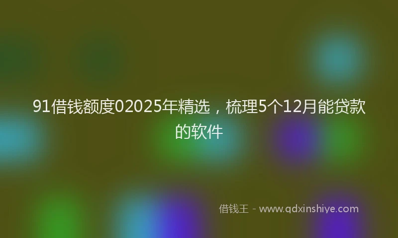 91借钱额度02025年精选，梳理5个12月能贷款的软件