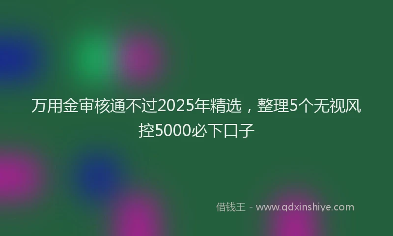 万用金审核通不过2025年精选，整理5个无视风控5000必下口子