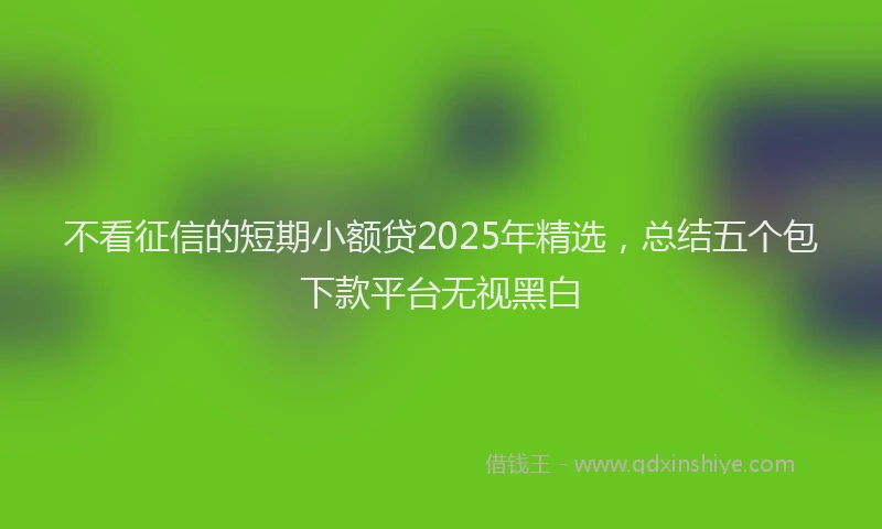 不看征信的短期小额贷2025年精选，总结五个包下款平台无视黑白