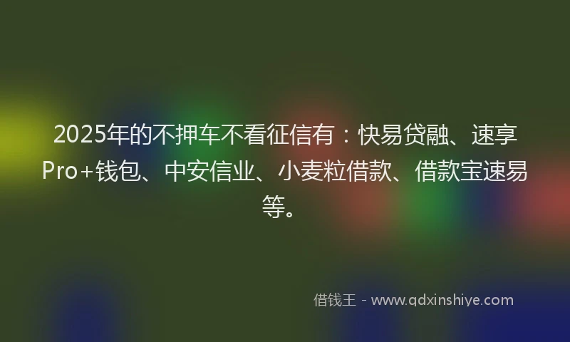 2025年的不押车不看征信有：快易贷融、速享Pro+钱包、中安信业、小麦粒借款、借款宝速易等。