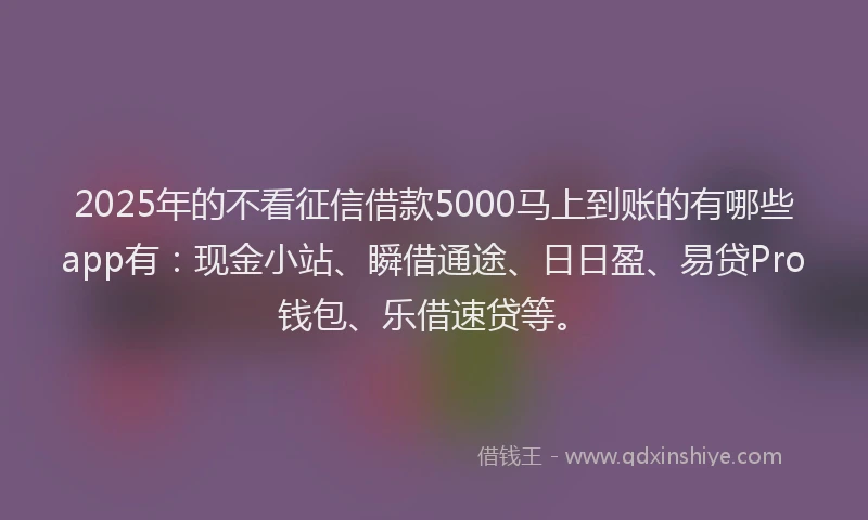 2025年的不看征信借款5000马上到账的有哪些app有：现金小站、瞬借通途、日日盈、易贷Pro钱包、乐借速贷等。