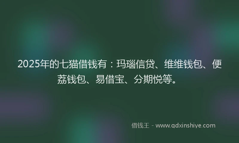 2025年的七猫借钱有：玛瑙信贷、维维钱包、便荔钱包、易借宝、分期悦等。