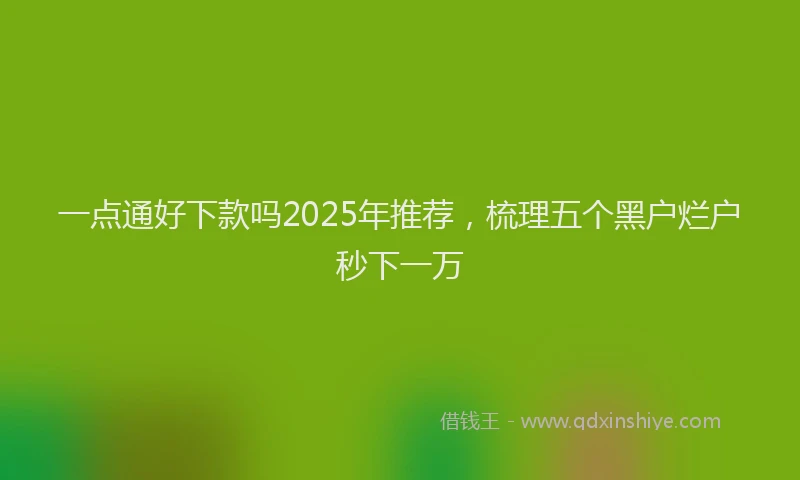 一点通好下款吗2025年推荐，梳理五个黑户烂户秒下一万
