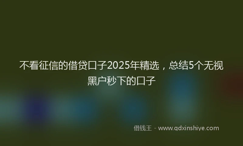 不看征信的借贷口子2025年精选，总结5个无视黑户秒下的口子