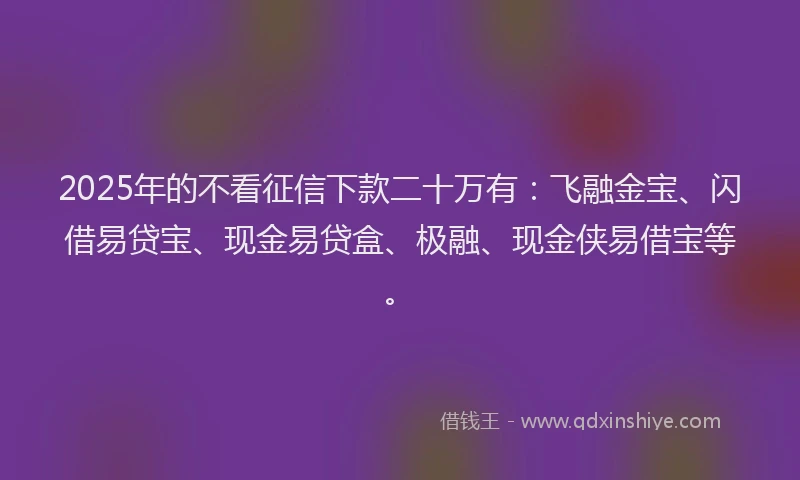 2025年的不看征信下款二十万有：飞融金宝、闪借易贷宝、现金易贷盒、极融、现金侠易借宝等。