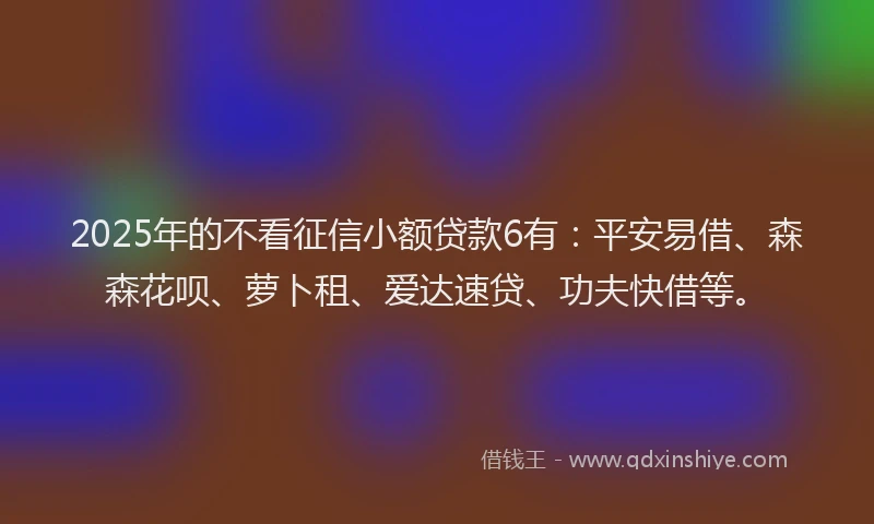 2025年的不看征信小额贷款6有：平安易借、森森花呗、萝卜租、爱达速贷、功夫快借等。