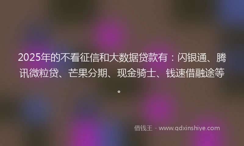2025年的不看征信和大数据贷款有：闪银通、腾讯微粒贷、芒果分期、现金骑士、钱速借融途等。
