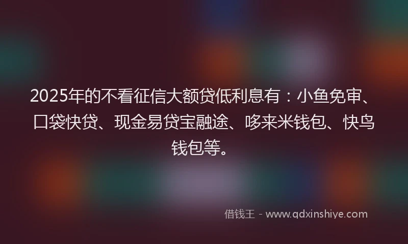 2025年的不看征信大额贷低利息有：小鱼免审、口袋快贷、现金易贷宝融途、哆来米钱包、快鸟钱包等。