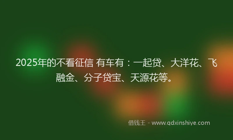 2025年的不看征信 有车有：一起贷、大洋花、飞融金、分子贷宝、天源花等。