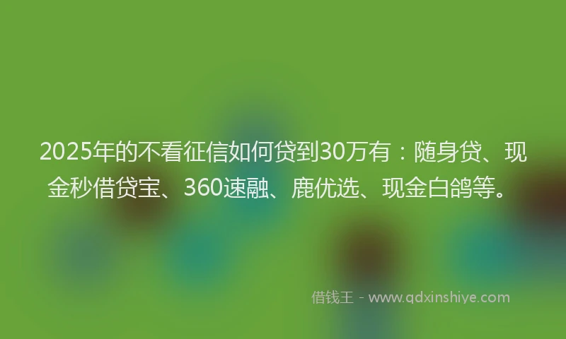 2025年的不看征信如何贷到30万有：随身贷、现金秒借贷宝、360速融、鹿优选、现金白鸽等。