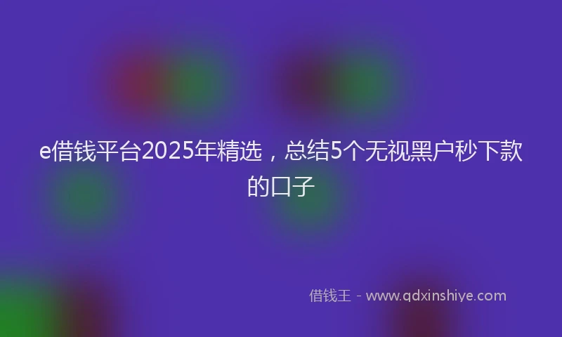 e借钱平台2025年精选，总结5个无视黑户秒下款的口子