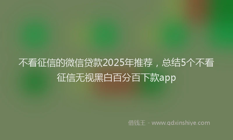 不看征信的微信贷款2025年推荐，总结5个不看征信无视黑白百分百下款app