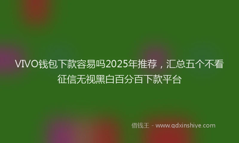 VIVO钱包下款容易吗2025年推荐，汇总五个不看征信无视黑白百分百下款平台