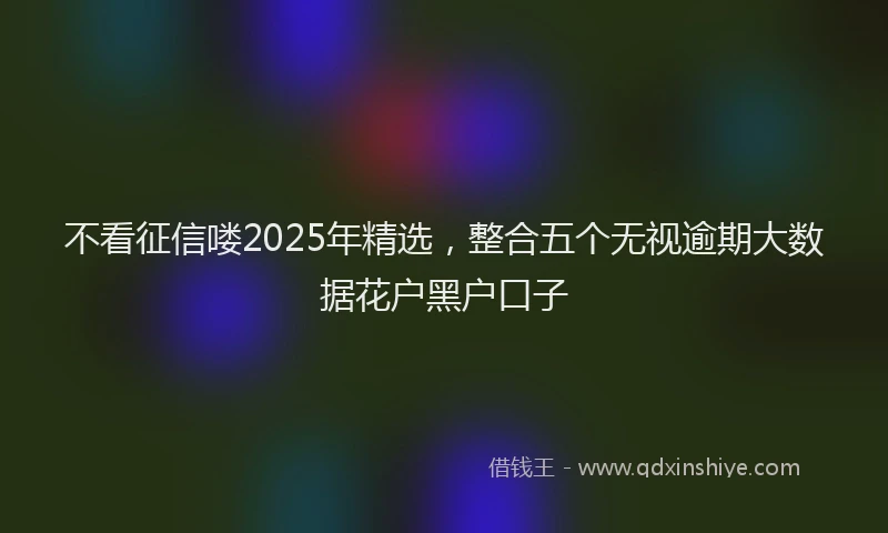 不看征信喽2025年精选，整合五个无视逾期大数据花户黑户口子