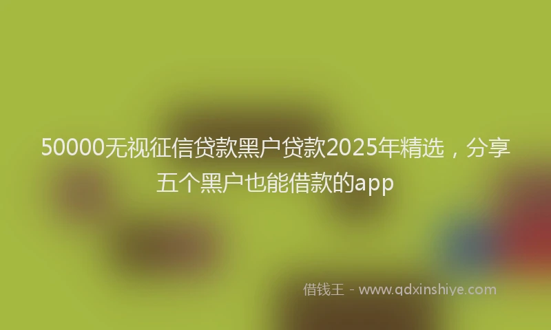 50000无视征信贷款黑户贷款2025年精选，分享五个黑户也能借款的app