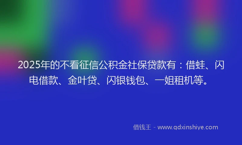 2025年的不看征信公积金社保贷款有：借蛙、闪电借款、金叶贷、闪银钱包、一姐租机等。